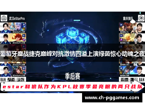 葡萄牙鏖战捷克巅峰对抗激情四溢上演绿茵惊心动魄之夜 葡萄牙鏖战捷克巅峰对抗激情四溢上演绿茵惊心动魄之夜