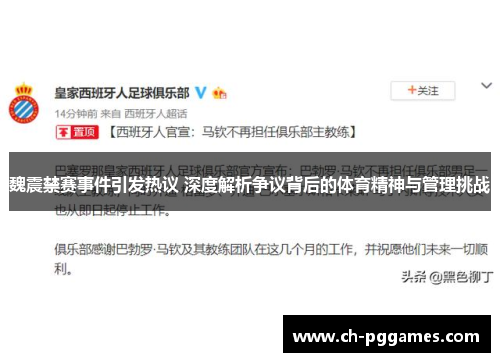 魏震禁赛事件引发热议 深度解析争议背后的体育精神与管理挑战