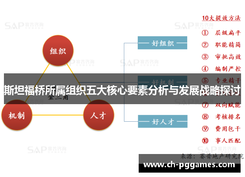 斯坦福桥所属组织五大核心要素分析与发展战略探讨