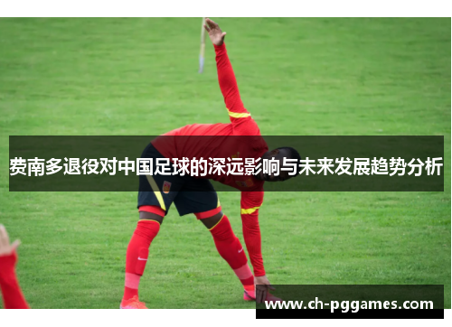 费南多退役对中国足球的深远影响与未来发展趋势分析